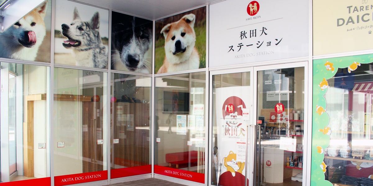 秋田犬ステーション