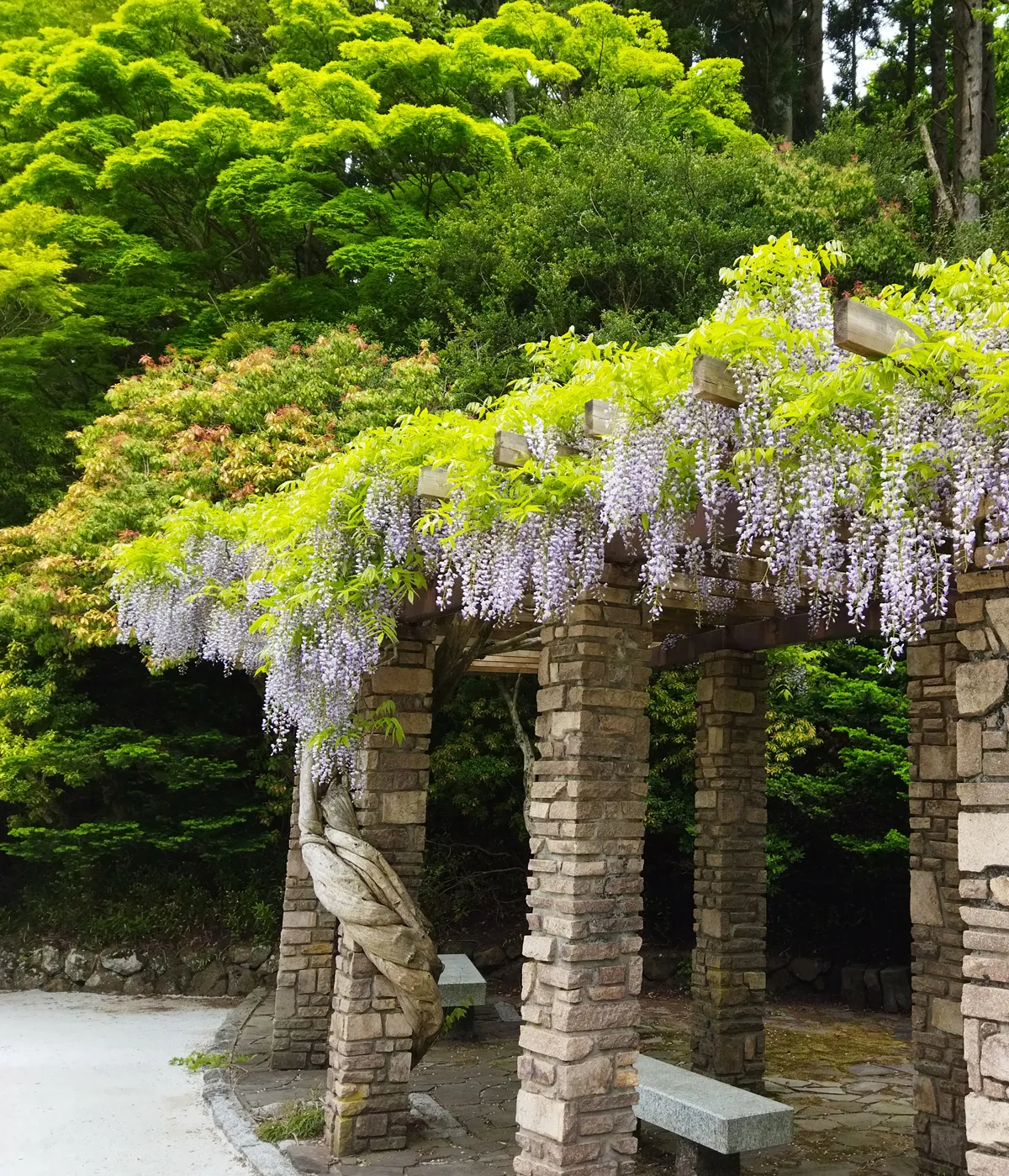 小泉潟公園